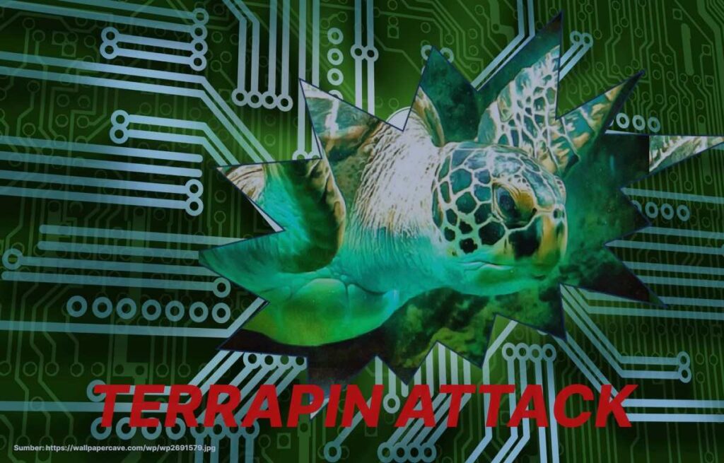 Approximately 11 million SSH servers vulnerable to new Terrapin attacks